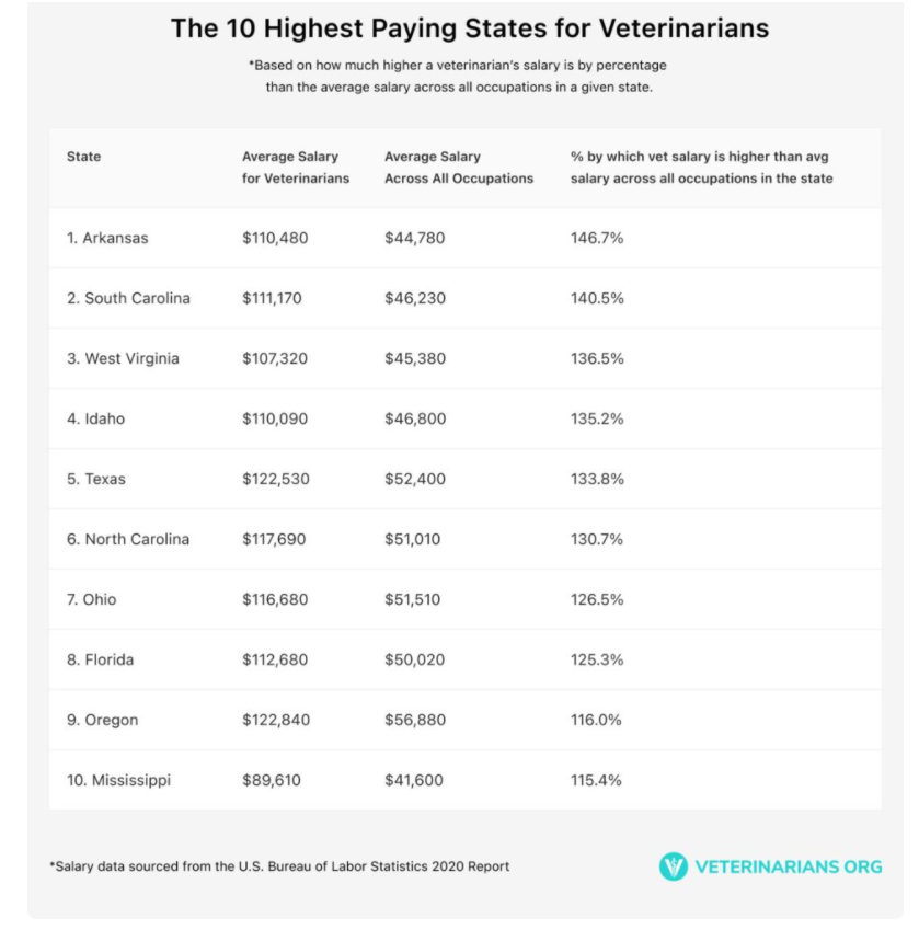 How Does Your TakeHome Pay Stack Up? Bovine Veterinarian